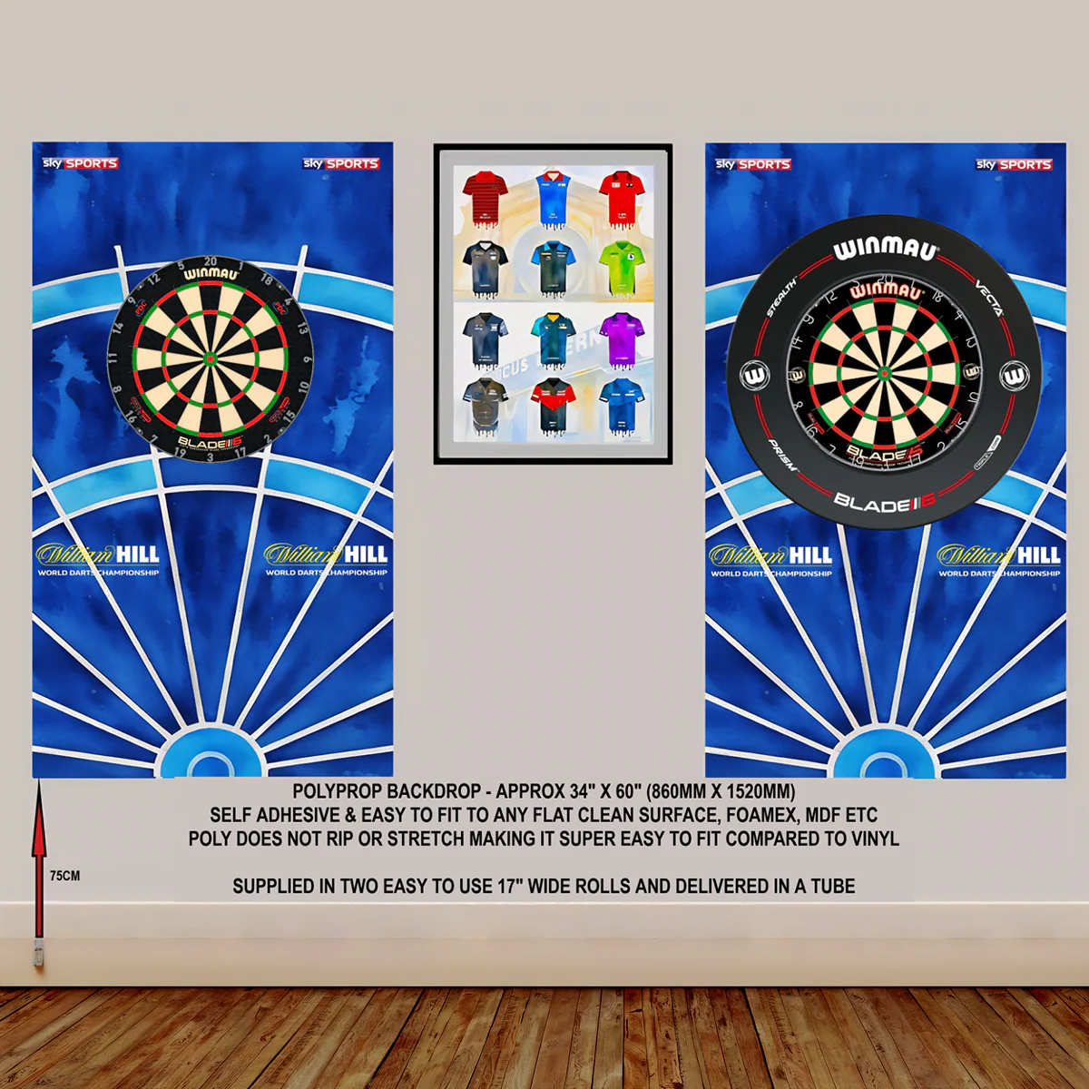 Custom Dartboard Backdrop